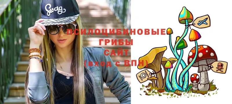 Галлюциногенные грибы Psilocybe  Артёмовский 